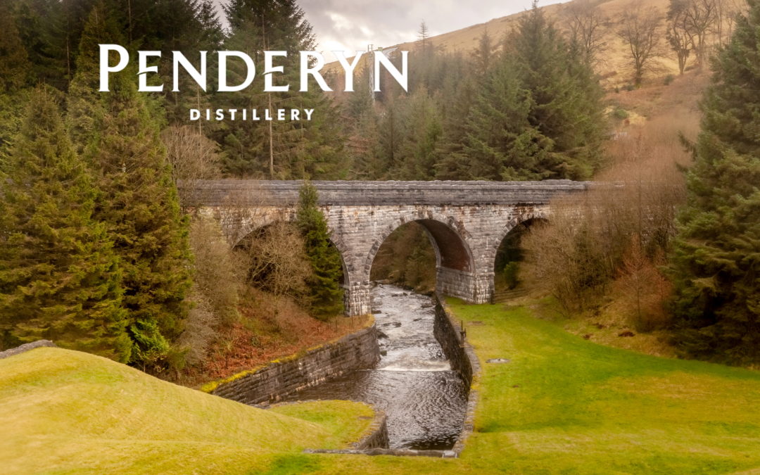Penderyn Picks up Seven Golds in the 2021 Spirits Business World Whisky Masters